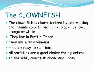 The CLOWNFISH
 The clown fish is characterized by contrasting
and intense colors , red , pink, black , yellow ,
orange or white.
 They live in Pacific Ocean .
 They live with anémonas .
 Fish are easy to maintain.
 All varieties are a good choice for aquariums.
 In the wild , clownfish chase small prey .
 