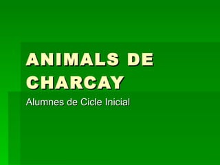 ANIMALS DE CHARCAY Alumnes de Cicle Inicial 