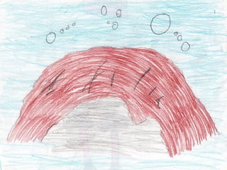 Animals  de   l`aigua