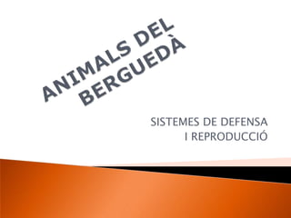 ANIMALS DEL BERGUEDÀ SISTEMES DE DEFENSA I REPRODUCCIÓ 