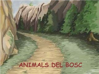 ANIMALS DEL BOSC 