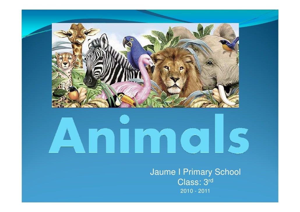 Jaume I Primary School      Class: 3rd       2010 - 2011 