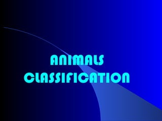 ANIMALS
CLASSIFICATION
 