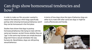 Can dogs show homosexual tendencies and
how?
In order to make our film accurate i wanted to
research the behaviour which dogs specifically
portray when showing homosexual behaviour and if
they can be homosexual in the first place.
Studies have shown that dogs to postray
homosexual behaviour like trying to mate with the
same-sex however, we don’t know whether they are
“gay” in the same way humans are simply because
dogs don’t have a sexual orientation the way
humans do. Nevertheless, dogs can still portray
sexual behaviour.
In terms of how dogs show this type of behaviour dogs are
either try to mate with other same-sex dogs or might be
overly affectionate and friendly.
 