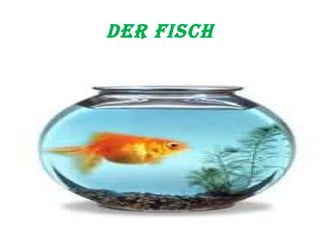 Der Fisch 