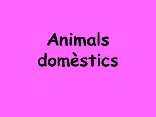 Animals
domèstics
 