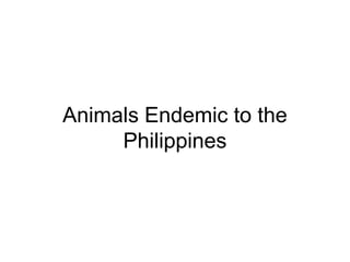 Animals Endemic to the
Philippines
 