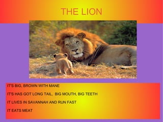 THE LION IT'S BIG, BROWN WITH MANE IT'S HAS GOT LONG TAIL,  BIG MOUTH, BIG TEETH IT LIVES IN SAVANNAH AND RUN FAST IT EATS...