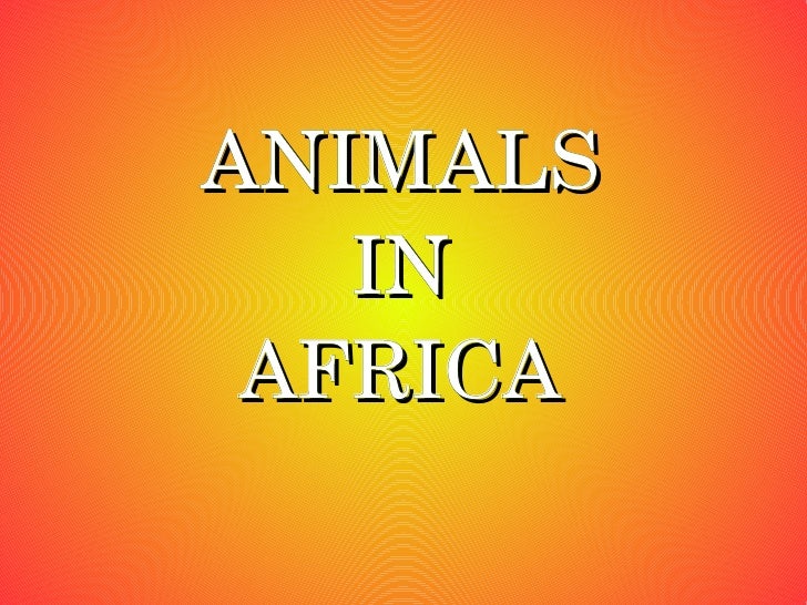 ANIMALS IN AFRICA 