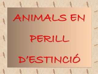ANIMALS EN
  PERILL
D’ESTINCIÓ
 