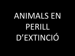 ANIMALS EN
  PERILL
D’EXTINCIÓ
 