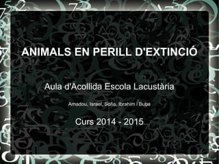 ANIMALS EN PERILL D'EXTINCIÓ
Aula d'Acollida Escola Lacustària
Amadou, Israel, Sofia, Ibrahim i Buba
Curs 2014 - 2015
 