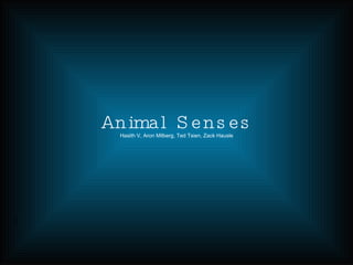 Animal Senses Hasith V, Aron Milberg, Ted Tsien, Zack Hausle 
