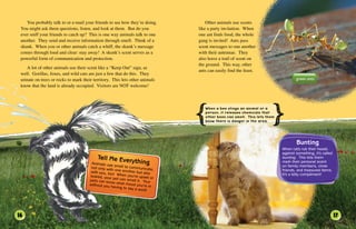 Animal_Senses_e-book.pdkjjjjjjjjjjjjjjjjjj | PDF