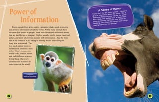 Animal_Senses_e-book.pdkjjjjjjjjjjjjjjjjjj | PDF