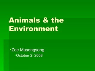 Animals & the Environment ,[object Object],[object Object]