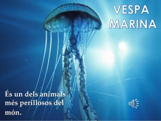 É
És un dels animals
més perillosos del
món.
 