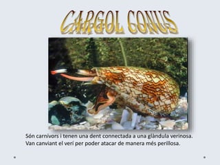 Són carnívors i tenen una dent connectada a una glàndula verinosa.
Van canviant el verí per poder atacar de manera més perillosa.
 