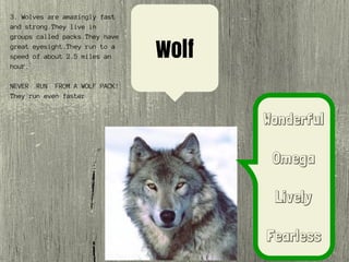 Wolf
Wonderful
Omega
Lively
Fearless
3. Wolves are amazingly fast
and strong.They live in
groups called packs.They have
great eyesight.They run to a
speed of about 2.5 miles an
hour.
NEVER RUN FROM A WOLF PACK!
They run even faster
 