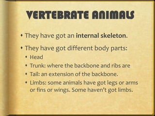 VERTEBRATE ANIMALS
 They have got an internal skeleton.

 They have got different body parts:





Head
Trunk: where the backbone and ribs are
Tail: an extension of the backbone.
Limbs: some animals have got legs or arms
or fins or wings. Some haven’t got limbs.

 