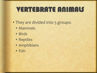 VERTEBRATE ANIMALS
 They are divided into 5 groups:






Mammals
Birds
Reptiles
Amphibians
Fish

 