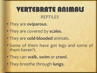 VERTEBRATE ANIMALS
REPTILES
 They are oviparous.
 They are covered by scales.
 They are cold-blooded animals.

 Some of them have got legs and some of
them haven’t.
 They can walk, swim or crawl.
 They breathe through lungs.

 