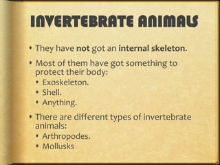 INVERTEBRATE ANIMALS
 They have not got an internal skeleton.
 Most of them have got something to
protect their body:
 Exoskeleton.
 Shell.
 Anything.

 There are different types of invertebrate
animals:
 Arthropodes.
 Mollusks

 