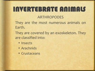 INVERTEBRATE ANIMALS
ARTHROPODES
They are the most numerous animals on
Earth.
They are covered by an exoskeleton. They
are classified into:
 Insects
 Arachnids
 Crustaceans

 