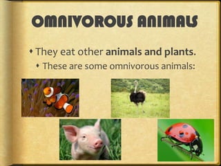 OMNIVOROUS ANIMALS
 They eat other animals and plants.
 These are some omnivorous animals:

 