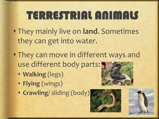 TERRESTRIAL ANIMALS
 They mainly live on land. Sometimes
they can get into water.
 They can move in different ways and
use different body parts:
 Walking (legs)
 Flying (wings)
 Crawling/ sliding (body)

 