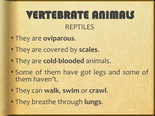 VERTEBRATE ANIMALS
REPTILES

These are some reptiles:

 