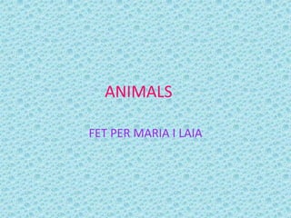 ANIMALS

FET PER MARIA I LAIA
 