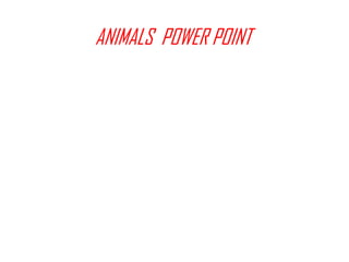 ANIMALS  POWER POINT 