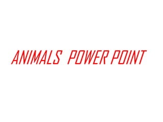 ANIMALS  POWER POINT 