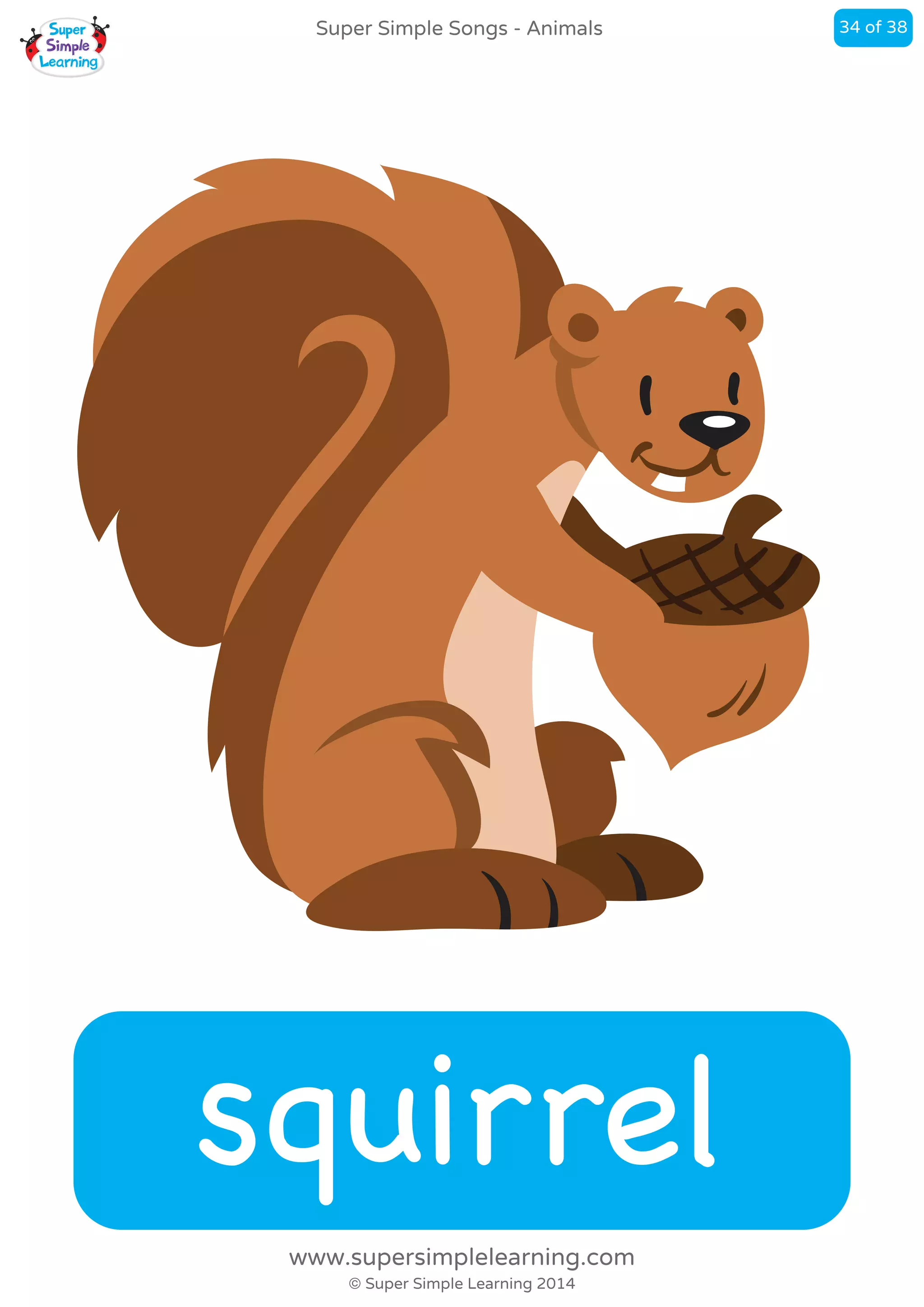 squirrel
Super Simple Songs - Animals
© Super Simple Learning 2014
www.supersimplelearning.com
34 of 38
 