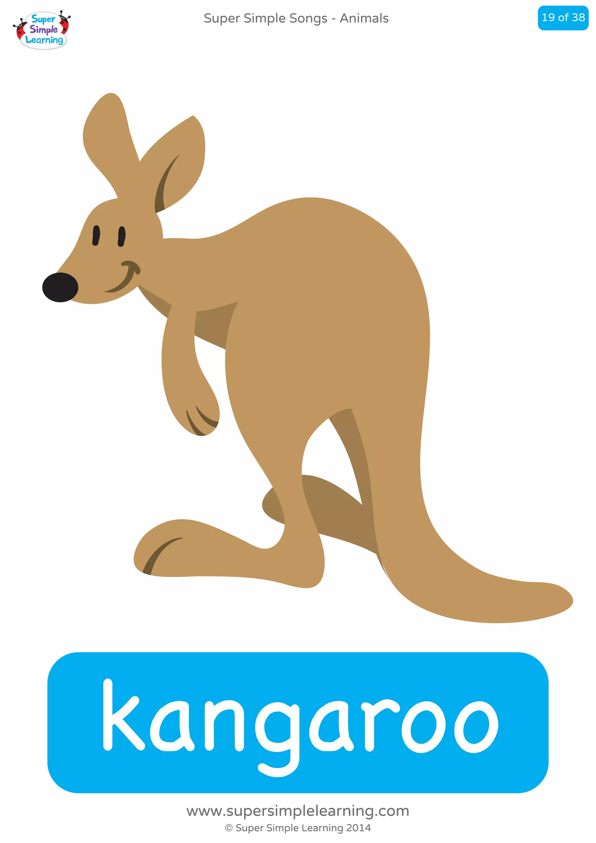 kangaroo
Super Simple Songs - Animals
© Super Simple Learning 2014
www.supersimplelearning.com
19 of 38
 