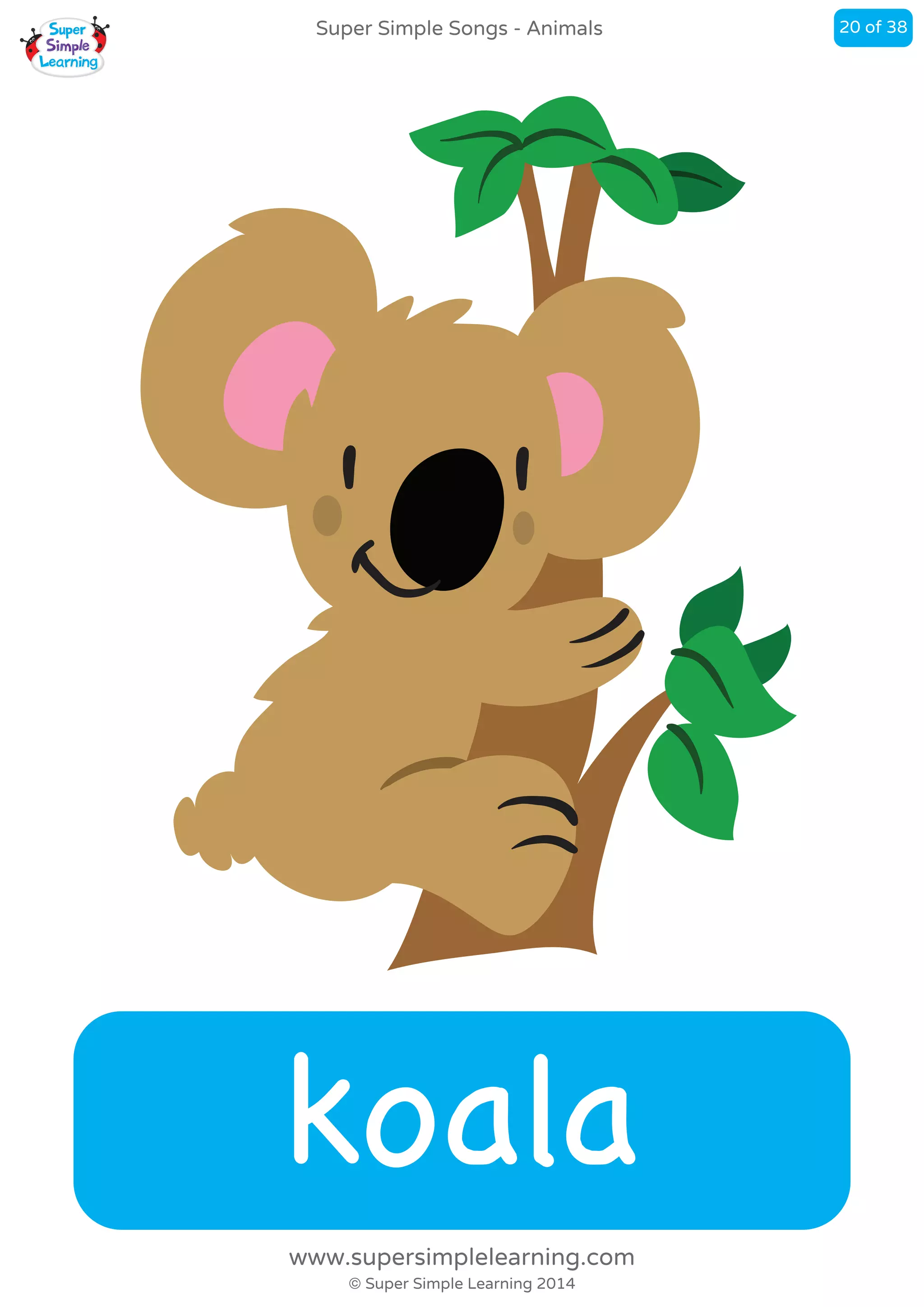 koala
Super Simple Songs - Animals
© Super Simple Learning 2014
www.supersimplelearning.com
20 of 38
 