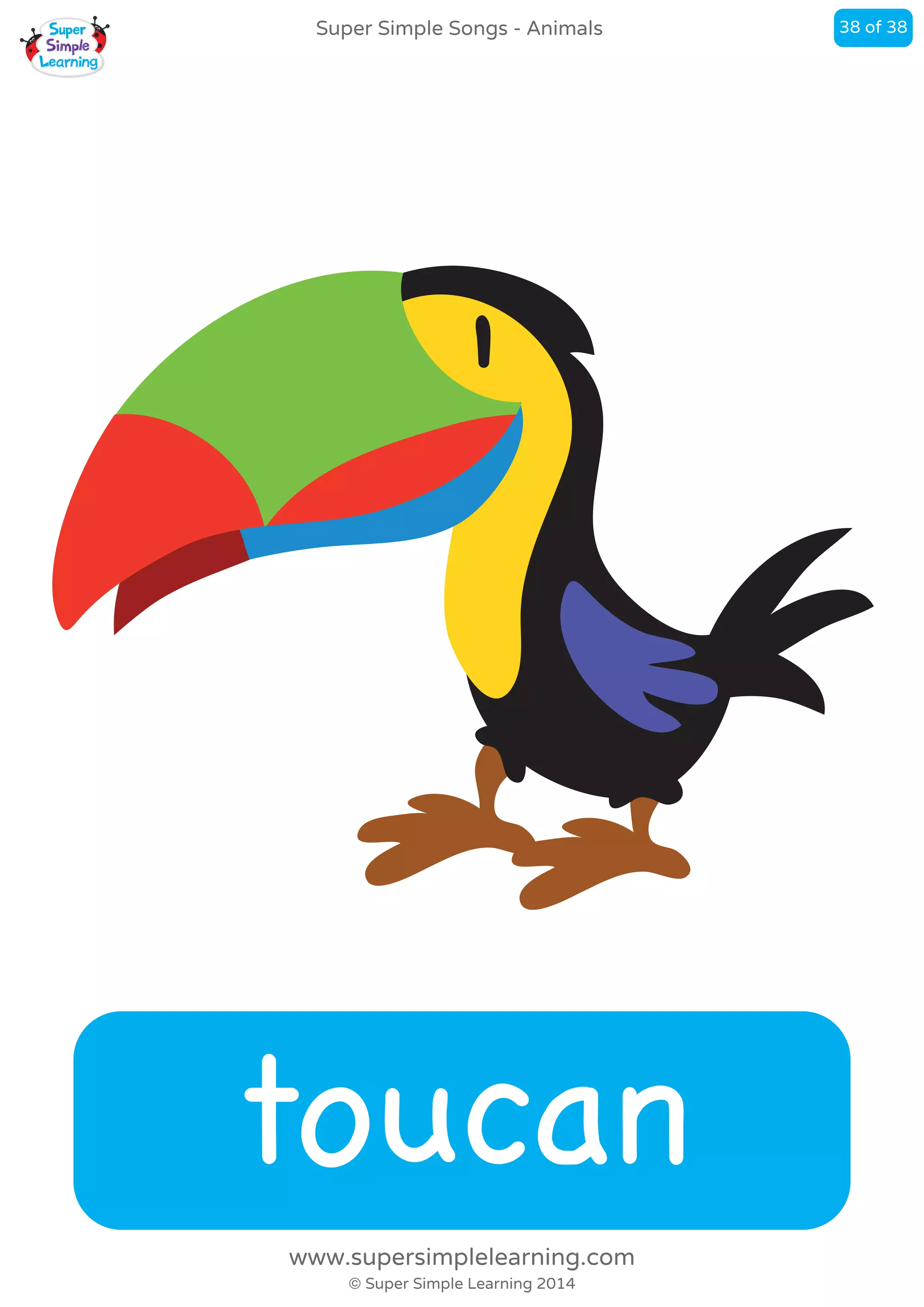toucan
Super Simple Songs - Animals
© Super Simple Learning 2014
www.supersimplelearning.com
38 of 38
 