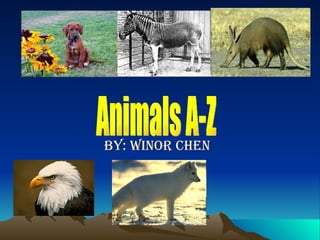 By: Winor Chen Animals A-Z 