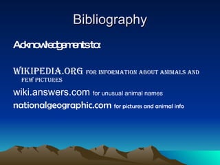 Bibliography Acknowledgements to: wikipedia.org  for information about animals and few pictures wiki.answers.com  for unusual animal names nationalgeographic.com  for pictures and animal info 