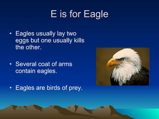 E is for Eagle Eagles usually lay two eggs but one usually kills the other. Several coat of arms contain eagles. Eagles are birds of prey. 
