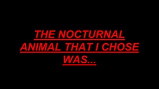 THE NOCTURNAL
ANIMAL THAT I CHOSE
WAS...
 
