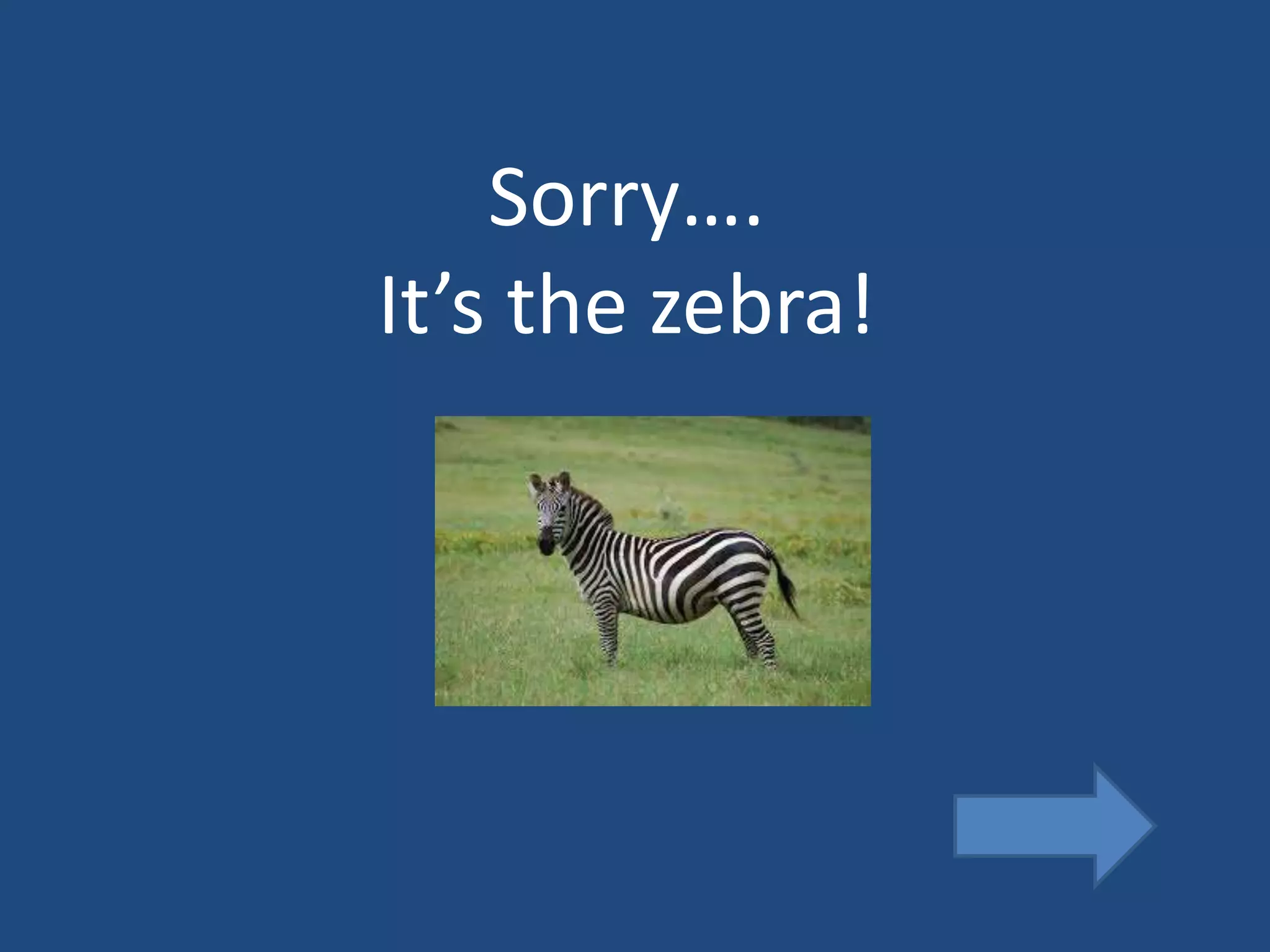 Sorry….
It’s the zebra!
 
