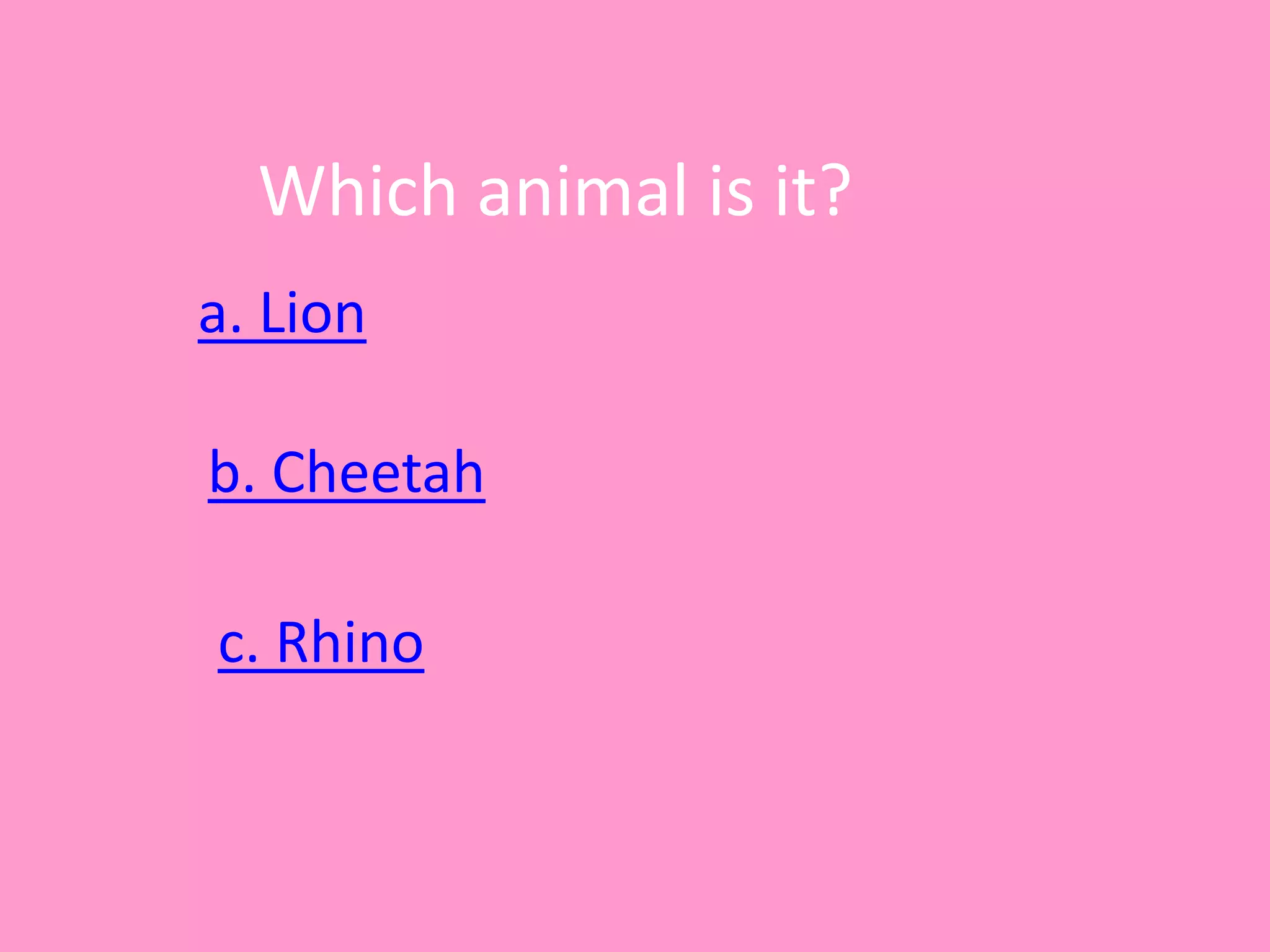 Which animal is it?
a. Lion
c. Rhino
b. Cheetah
 