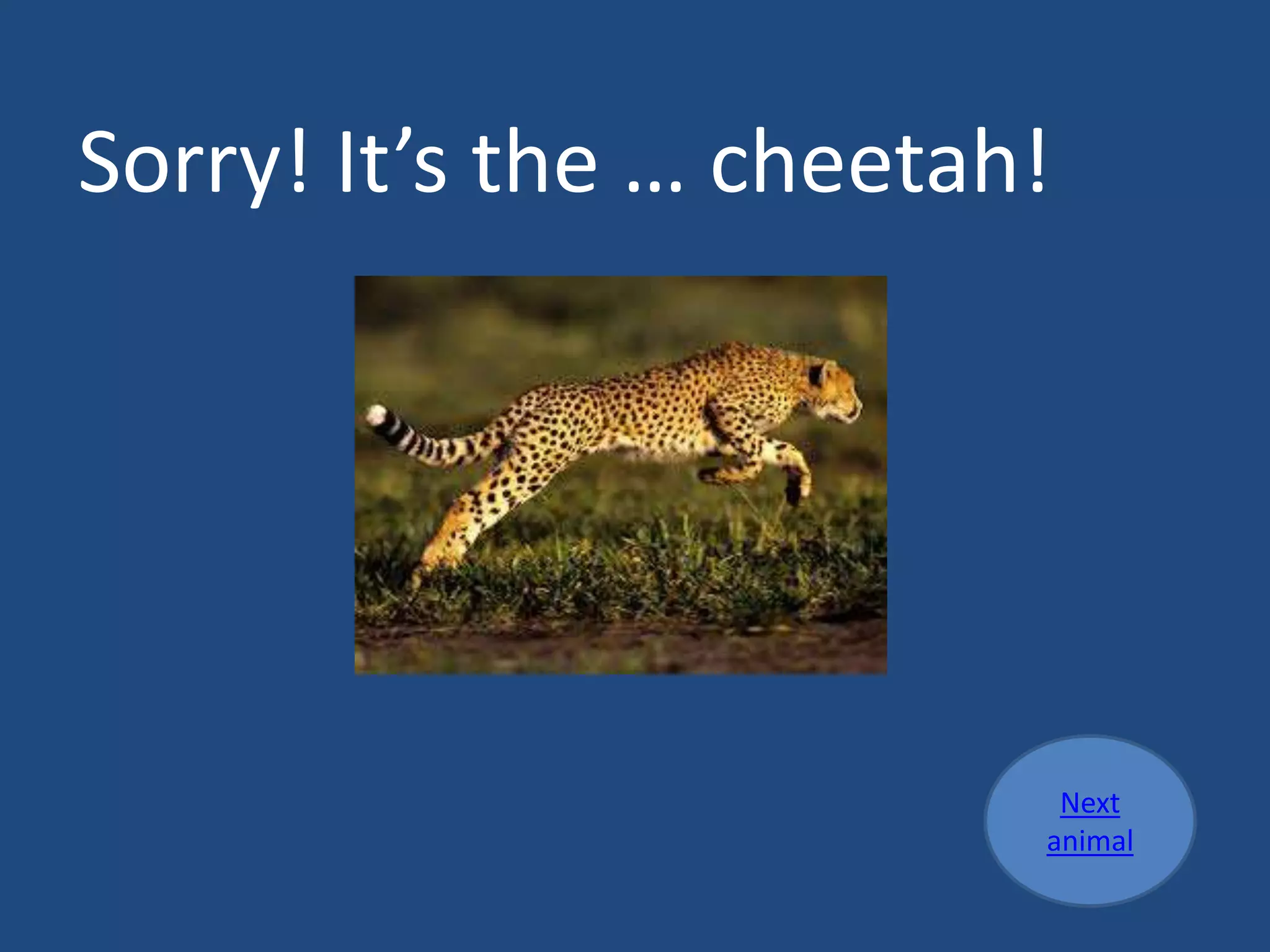 Sorry! It’s the … cheetah!
Next
animal
 