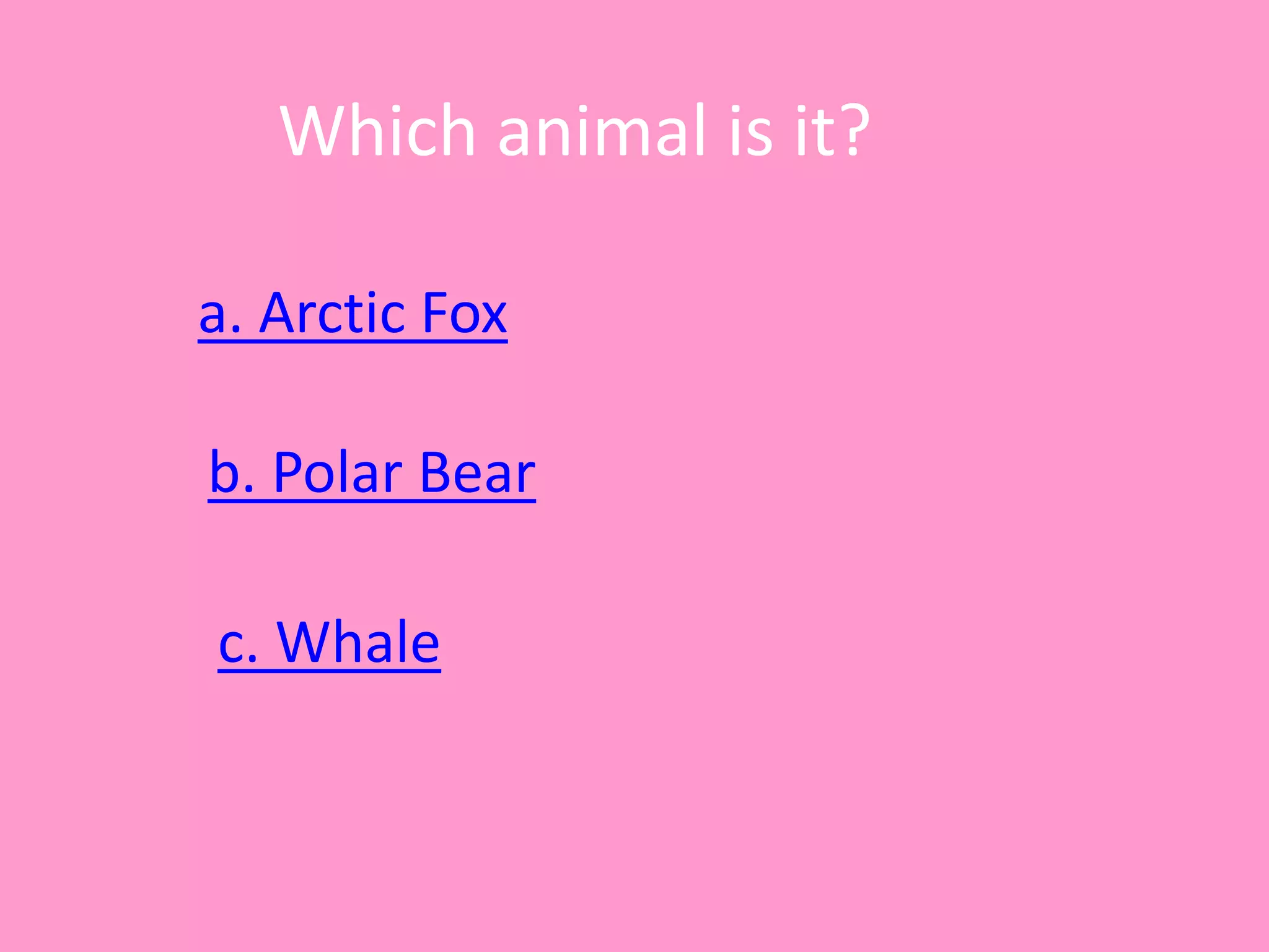 Which animal is it?
a. Arctic Fox
c. Whale
b. Polar Bear
 