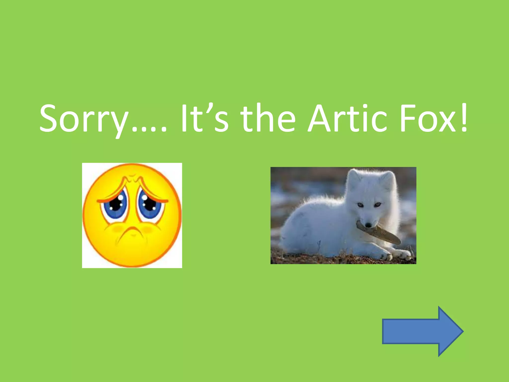 Sorry…. It’s the Artic Fox!
 