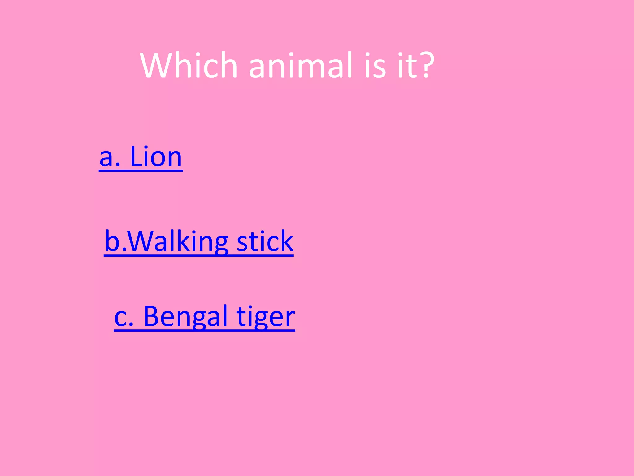 Which animal is it?
a. Lion
c. Bengal tiger
b.Walking stick
 