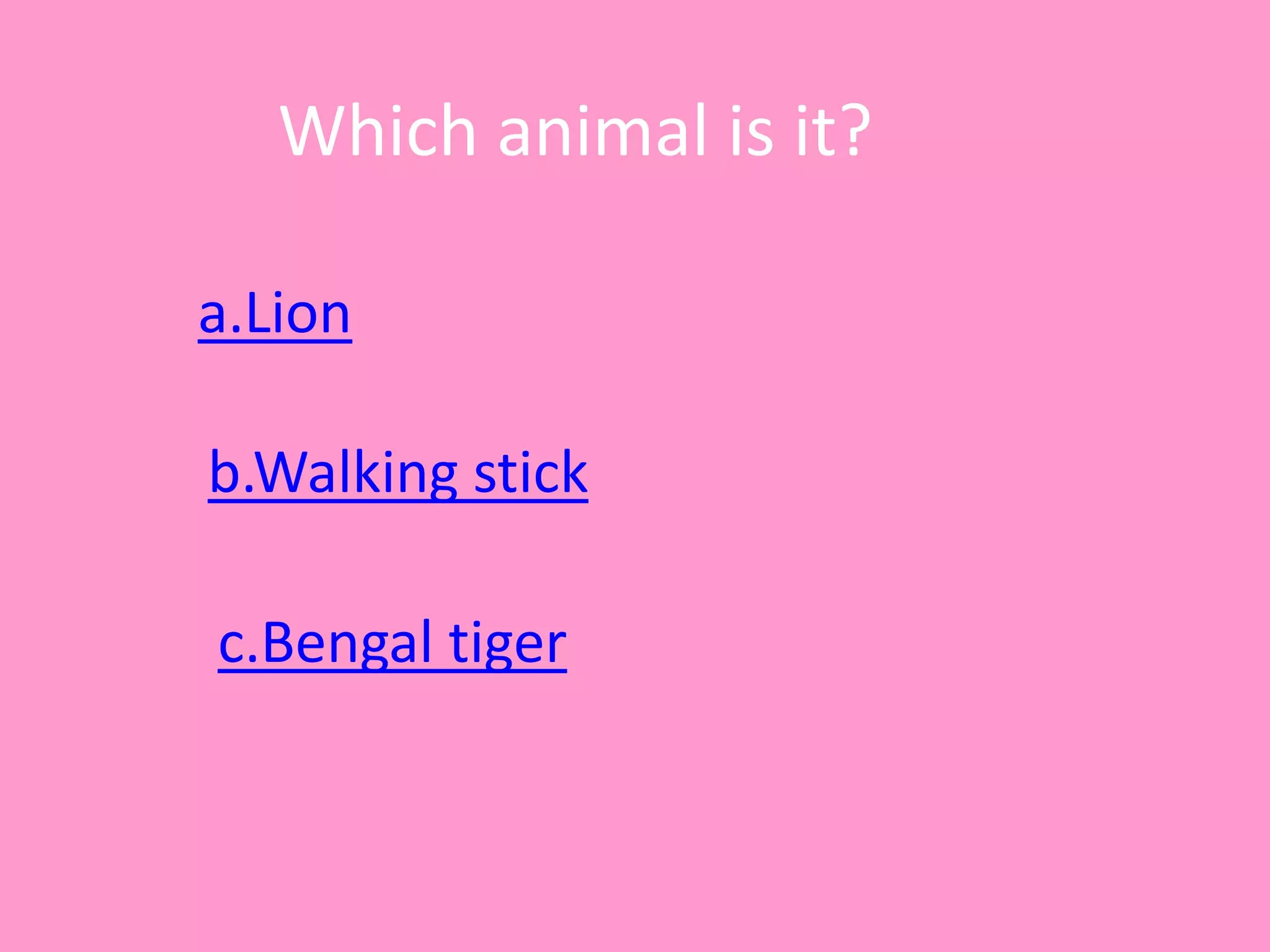 Which animal is it?
a.Lion
c.Bengal tiger
b.Walking stick
 