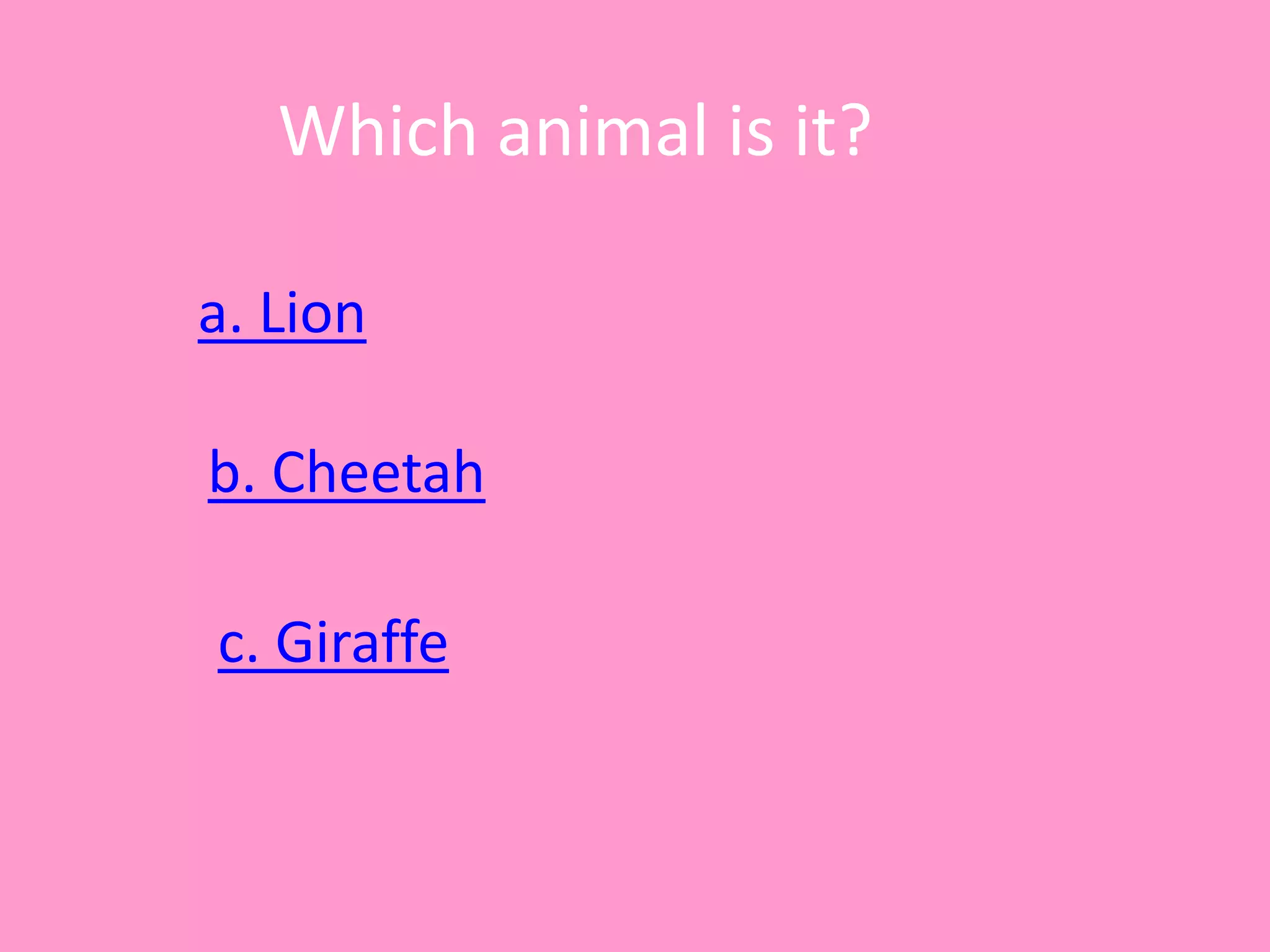 Which animal is it?
a. Lion
c. Giraffe
b. Cheetah
 